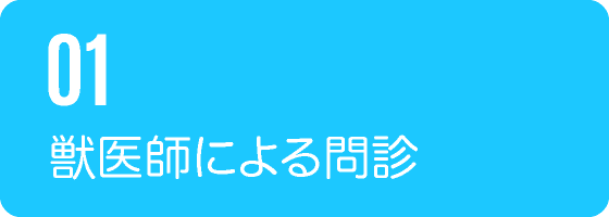 01獣医師による問診