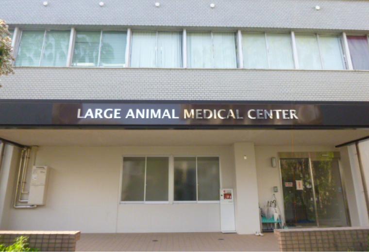写真1大動物診療センター
