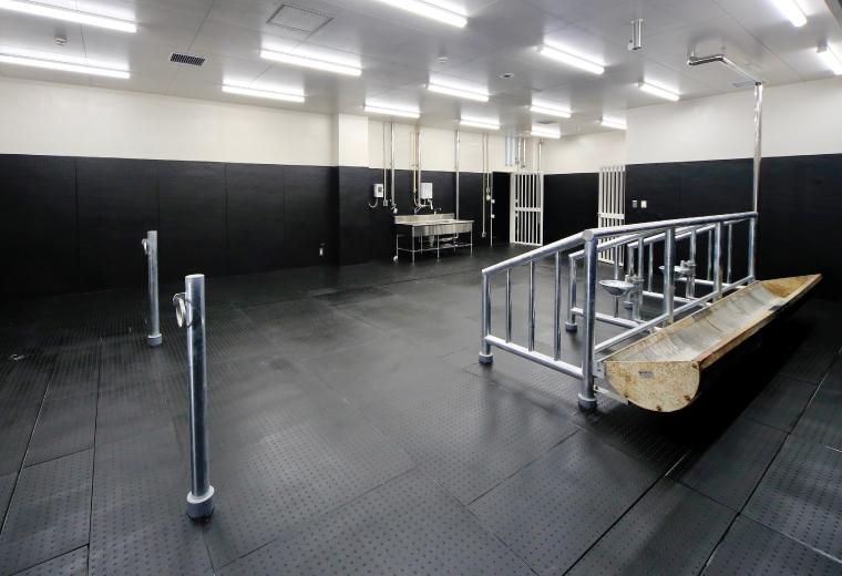 Large Animal Medical Center 鹿児島大学共同獣医学部附属動物病院