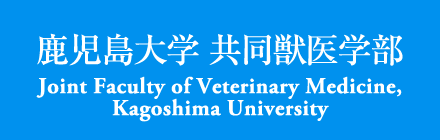 鹿児島大学 共同獣医学部