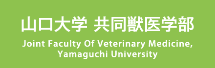 山口大学 共同獣医学部