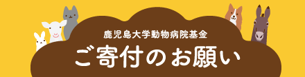 ご寄附のお願い