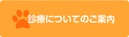 診療についてのご案内