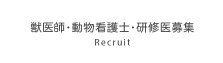 獣医師・動物看護士・研修医募集