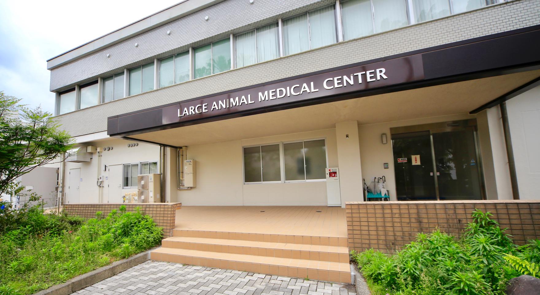Large Animal Medical Center