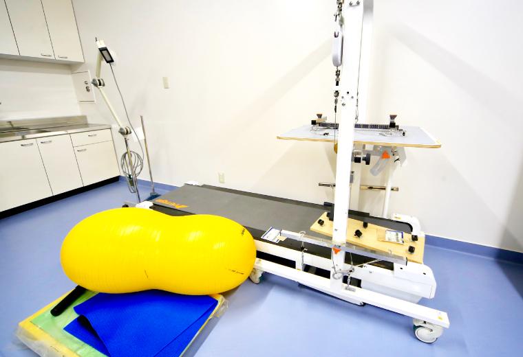 Kinematic analysis /Physiotherapy room