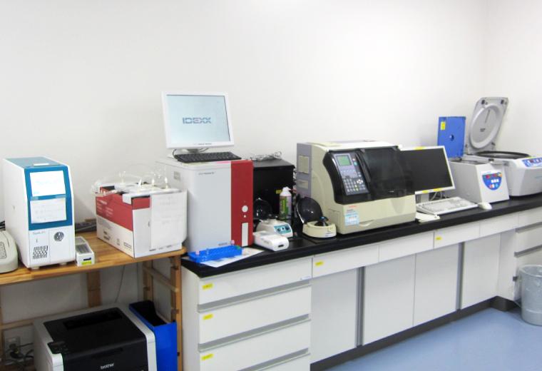 Clinical pathology laboratory for mechanical analyzers
