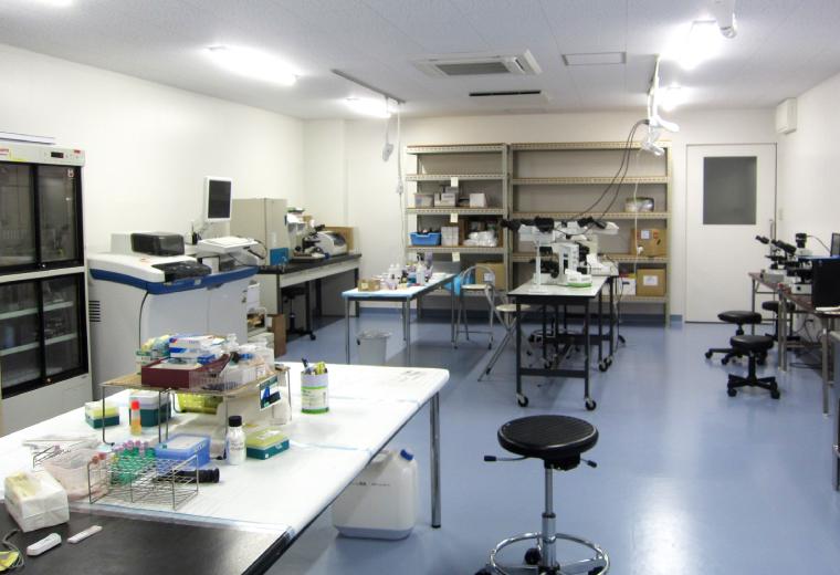 Clinical pathology laboratory for all examinations