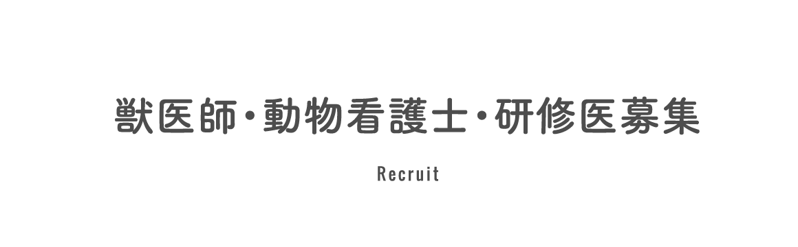 獣医師動物看護士研修医募集