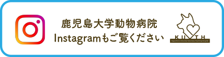 Instagramを開設しました