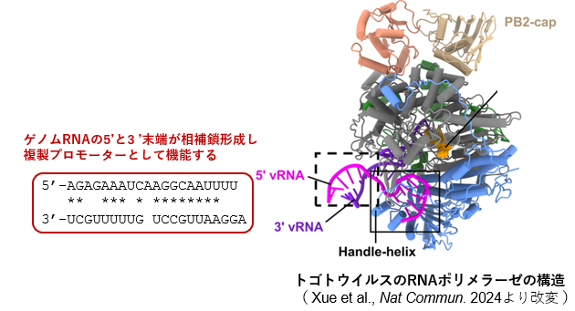図2