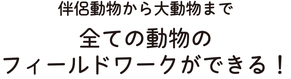 伴侶動物から大動物まで全ての動物のフィールドワークができる！