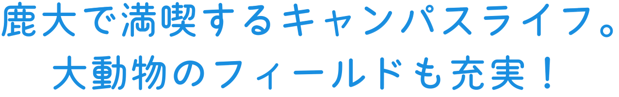 鹿大で満喫するキャンパスライフ。大動物のフィールドも充実！