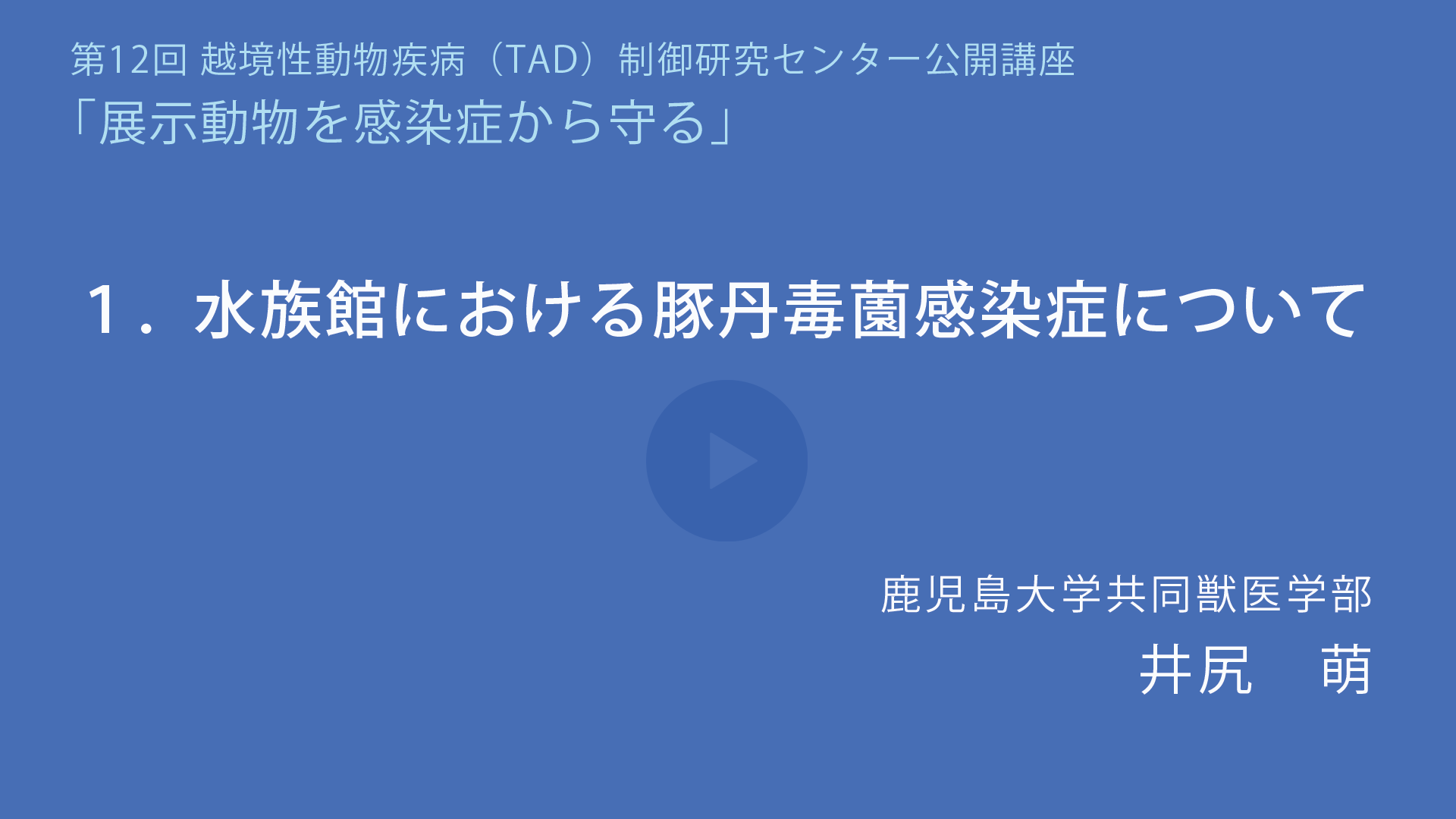 水族館における豚丹毒感染症について