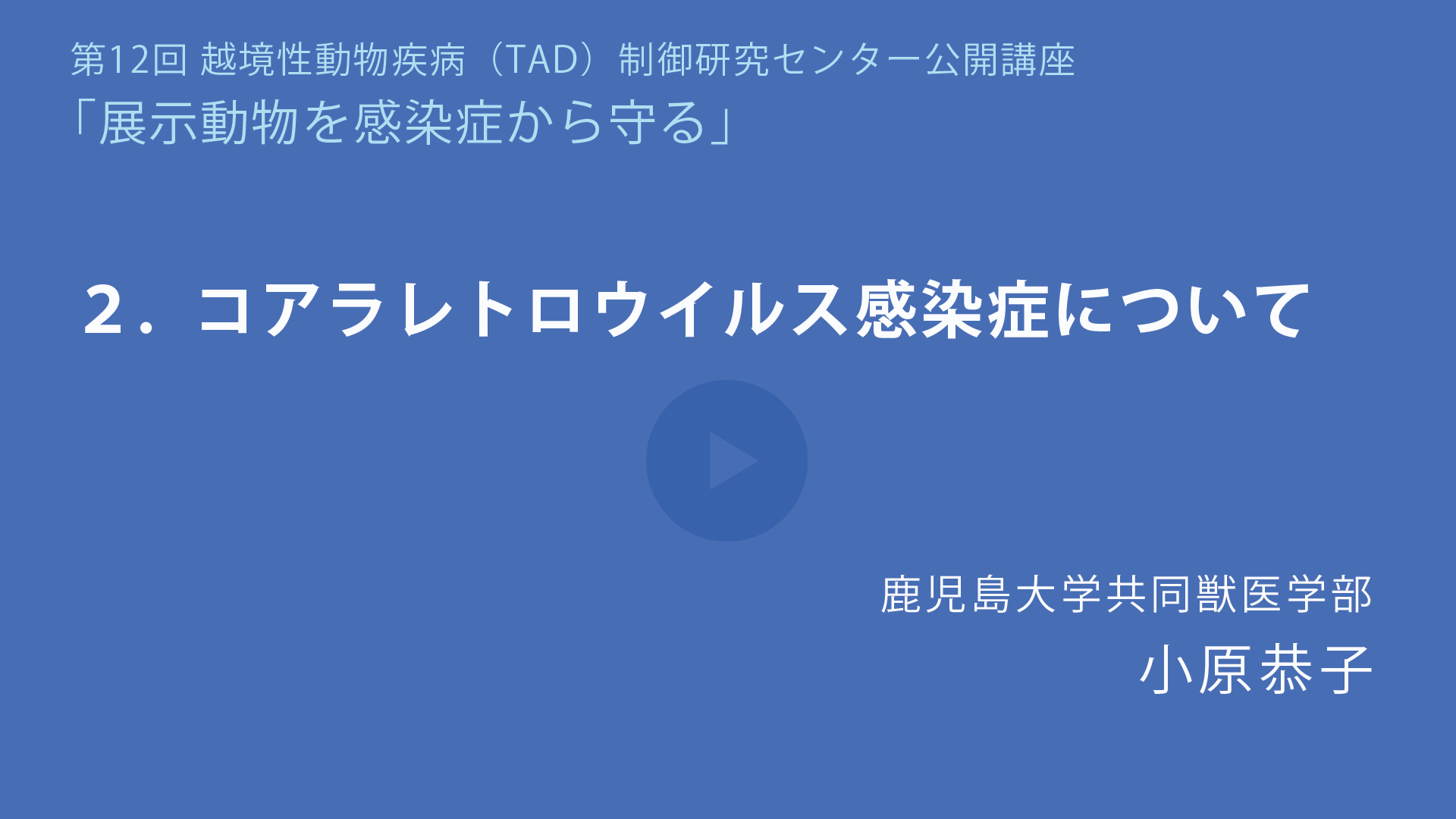 コアラレトロウイルス感染症について