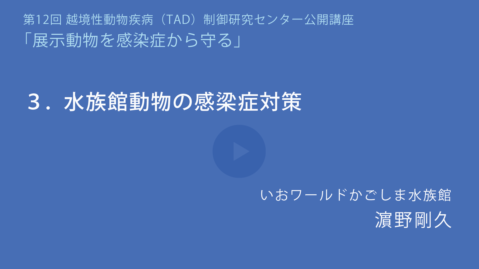 水族館動物の感染症対策