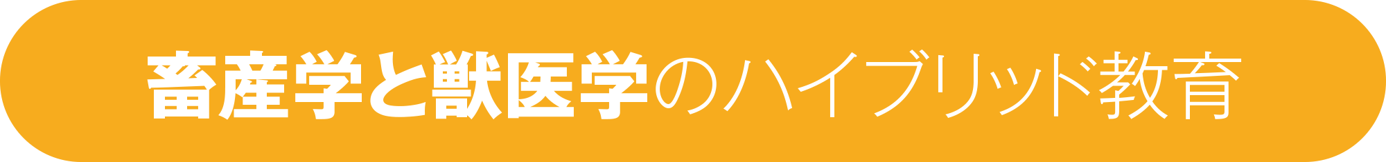 畜産学と獣医学のハイブリッド教育