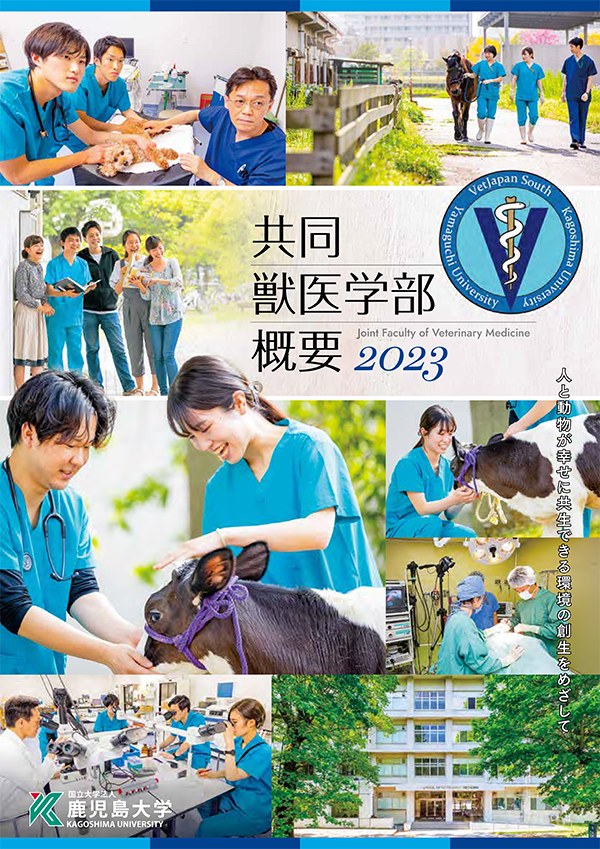 東京医科歯科大学 (2023年版大学入試シリーズ) | 教学社編集部