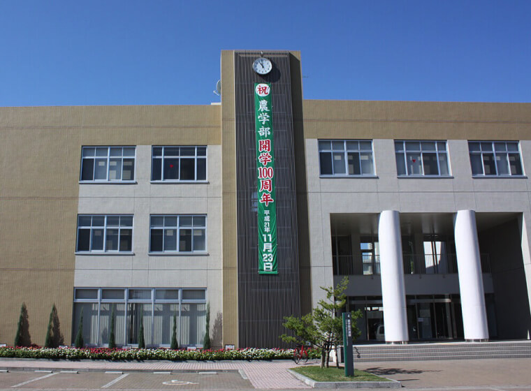 kagoshima 3