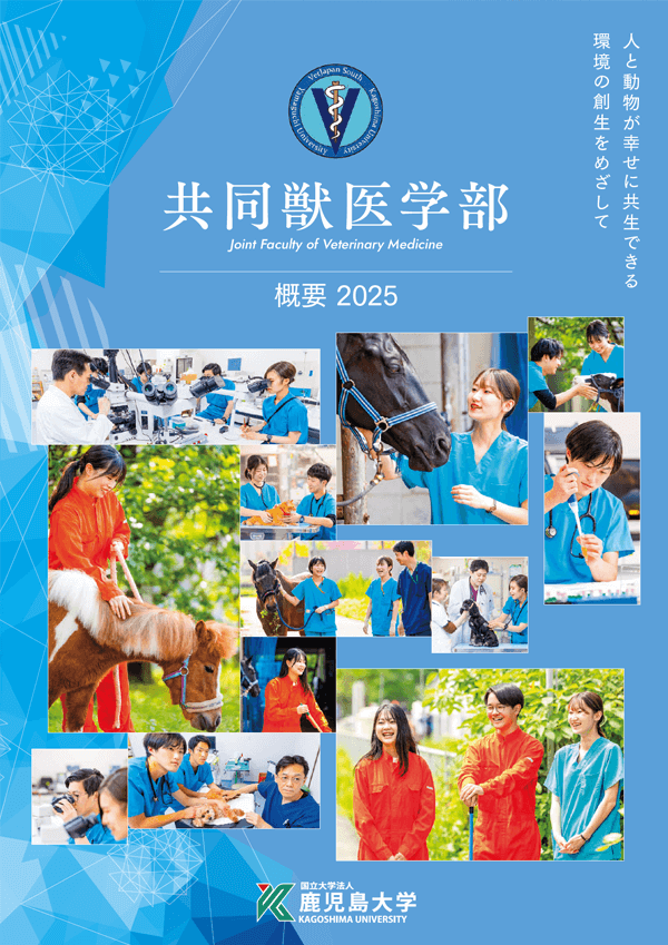学部概要パンフレット　2025